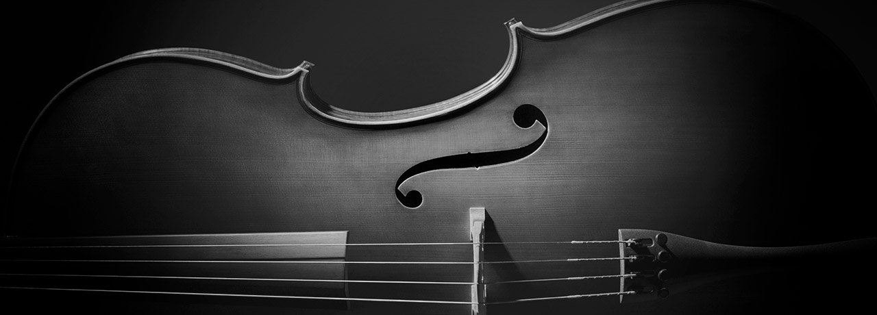 Versicherungsschutz für klassische Musik
